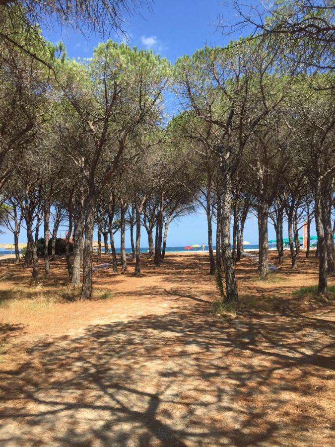 Case vacanze Sardegna Budoni Esterno foto